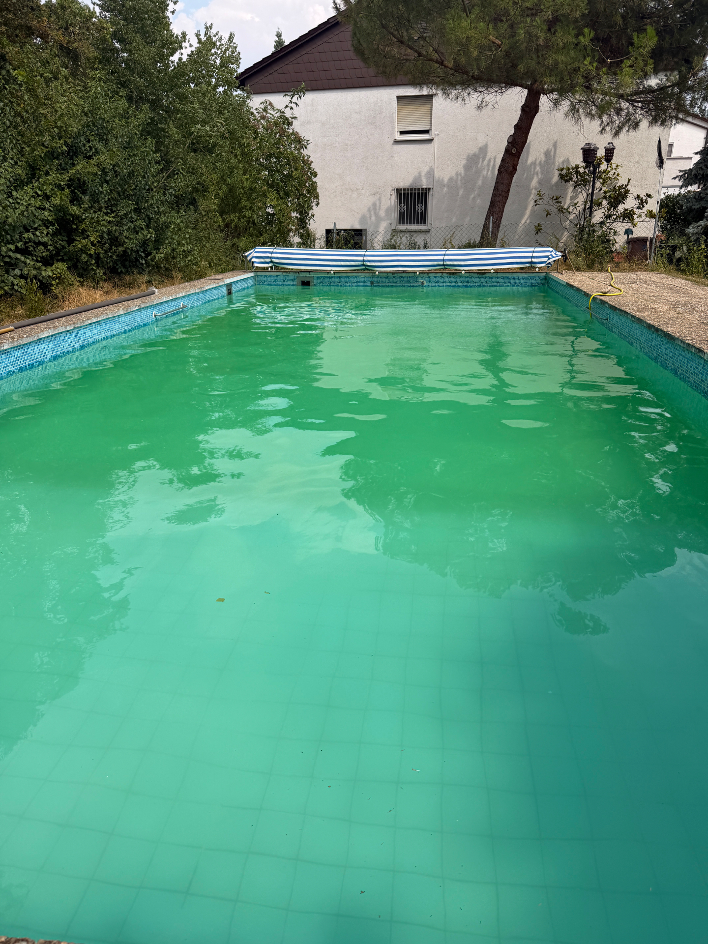 Vorher: verschmutzter Pool