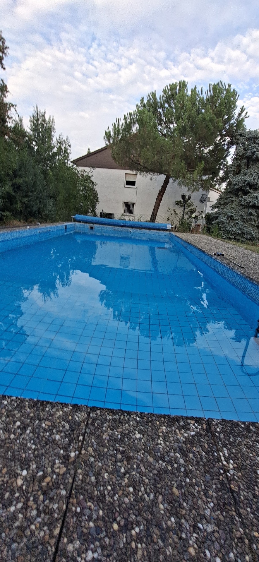 Nachher: glasklarer Pool